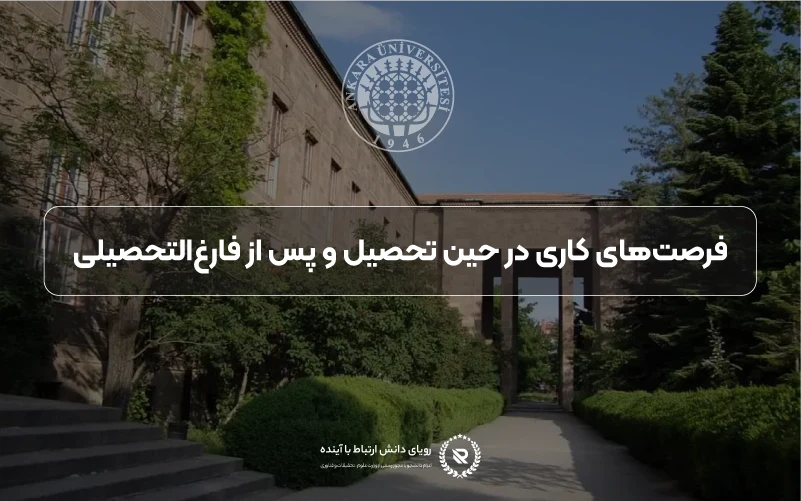 فرصتهای کاری در حین تحصیل و پس از فارغالتحصیلی در ترکیه