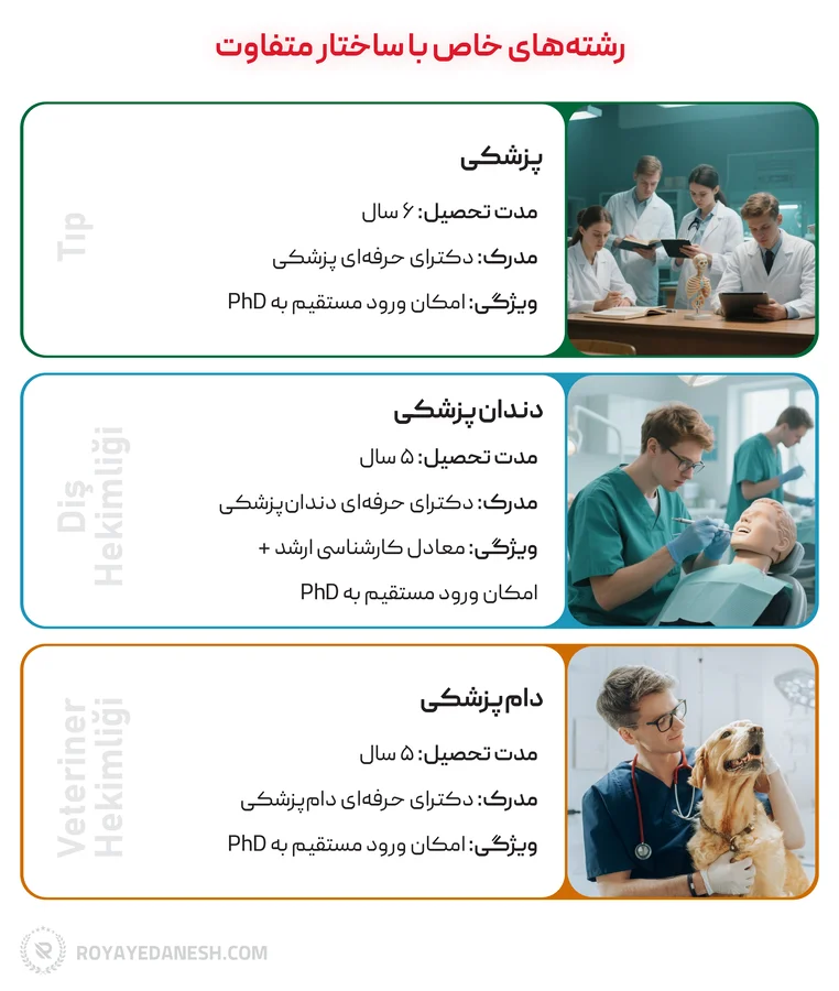 اینفوگرافی رشته های خاص با ساختار متفاوت