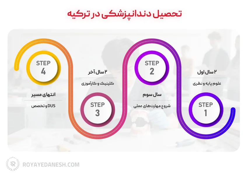 اینفوگرافی مدت و ساختار تحصیل دندانپزشکی در ترکیه (۵ سال)