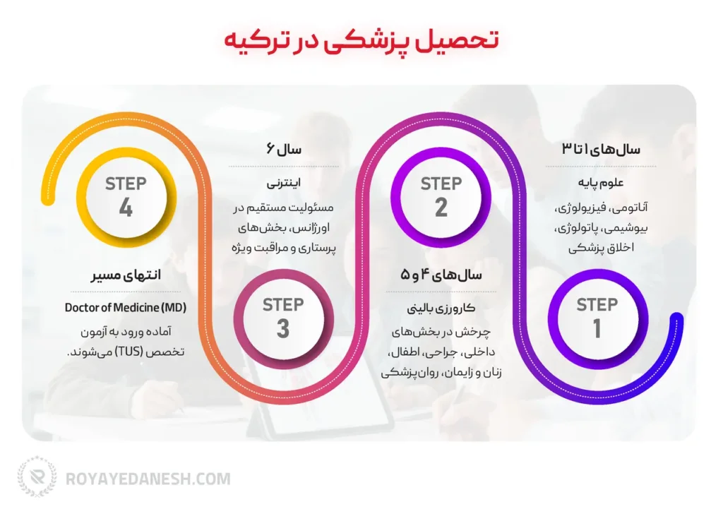 اینفوگرافی ساختار نظام آموزشی در پزشکی ترکیه